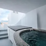 弗吉尼亚洞穴别墅 *